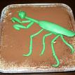 Praying Mantis atop Tiramisu